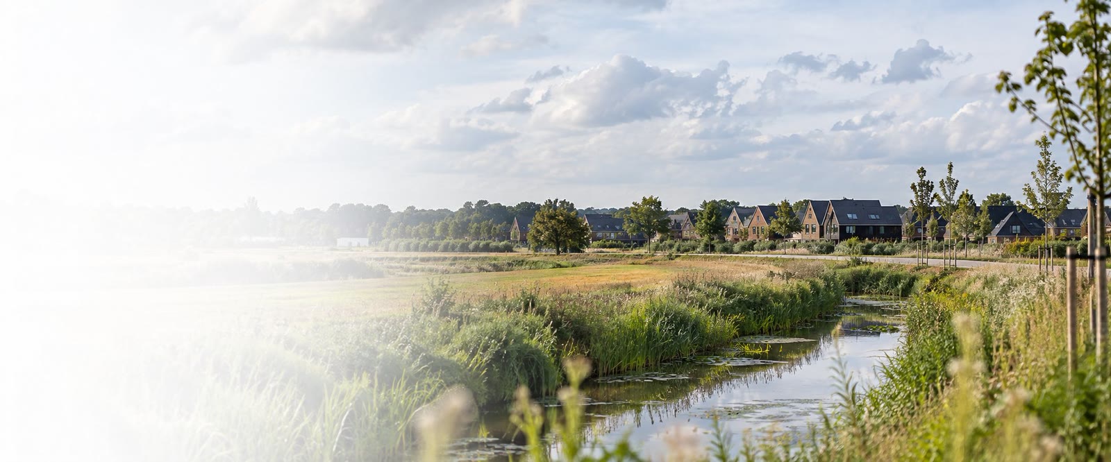 Gebiedsontwikkeling in Nederland
